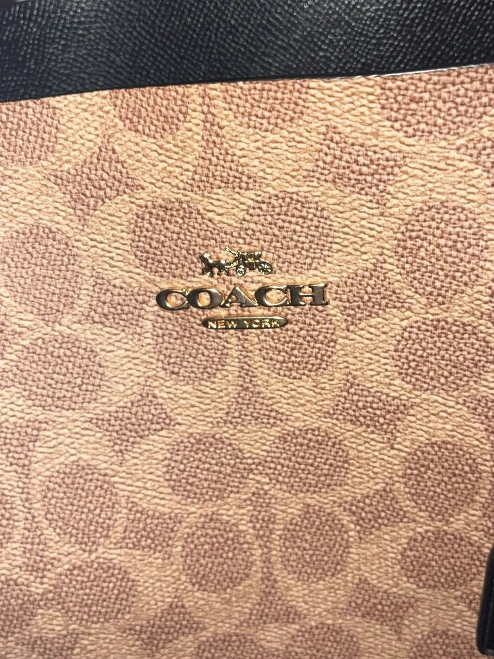 Coach signature canvas